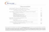 TABLE OF CONTENTS - Boyar Value Group · a substantial discount to their intrinsic or private market value. AAF’s Research Approach & Methodology: AAF takes a company’s financial