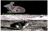 Rabbits · Exclusion fences Rabbit-proof fencing Changed farming practices Pasture management or alternative crops Habitat modification Removal of harbour e.g. logs, thick vegetation