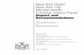 New York State/ New York City Mental Health- Criminal ...The Panel's work was informed by a review of several cases in NYC involving individuals with serious mental illnesses who engaged