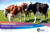 David Blakemore President Animal Nutritional & Health...incl. feed premix Feed producers Farmers Raw Materials Direct to Farm 35% 10% 7% Sales related to ingredient (%) 65% of ANH