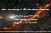The complexity of star-forming filamentsdavide2.bo.astro.it/wp-content/uploads/2014/02/Recchi_may2014.pdfThe complexity of star-forming filaments OABO, Bologna, 29/05/2014 Simone Recchi