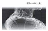 Chapter 2ras.riversideunified.org/UserFiles/Servers/Server_878955/File/Chapter_002.pdf · Hemoglobin Deoxyribonucleic acid (DNA) Mitochondria Muscular wall separating the abdominal