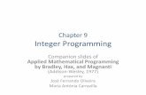 Chapter 9 Integer Programming - Faculdade de Engenharia da …mac/ensino/docs/OT20112012/Chapter... · 2012-02-27 · Chapter 9 Integer Programming Companion slides of Applied Mathematical