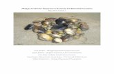 Michigan Freshwater Mussel Survey Protocols and Relocation ... · and appropriate survey protocol(s) to conduct a mussel survey at the project site. They are described in detail in