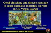 Coral bleaching and disease continueCoral Bleaching Conclusion A Guide to Coral Disease Managing Responding Resilience Causes and Consequences Now time for…. A Manual to Coral Disease