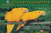 The newsletter of Loro Parque Fundación No. 68 - March 2003...Cyanopsitta The newsletter of Loro Parque Fundación No. 68 - March 2003 Wolfgang Kiessling 2 Message from the Founder