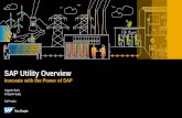 SAP Utility Overvie5).pdf · Major Discoms Run SAP ER and CIS Solution –WBSEDCL, CSPDCL, PSPCL, Ap Discoms, TS Discom, HPSEB, JSEB, GED, MSEDCL, TPDDL, BSES, Torrent Power, Reliance