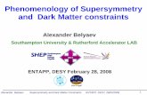 Phenomenology of Supersymmetry and Dark Matter constraintsdesy.de/~covil/entapp/entapp_belyaev_28_02_2008.pdf · Supersymmetry and Dark Matter Constraints ENTAPP. DESY, 28/02/2008