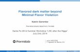 Flavored dark matter beyond Minimal Flavor Violation · Introduction Flavored dark matter is not new! Selection only! Flavoured Dark Matter in Direct Detection Experiments and at