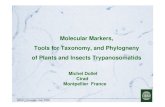 Tools for Taxonomy, and Phylogneny of Plants and Insects ...gplf.assoc.univ-bpclermont.fr/GPLF23-02-05/PDF dourdan/GPLF 2005 Dollet... · GPLF Dourdan mai 2005 Molecular Markers,