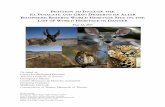 EL PINACATE AND GRAN DESIERTO DE ALTARthe authorized petitioners for The O’odham in Sonora Tribe. The El Pinacate and Gran Desierto de Altar World Heritage Site holds tremendous