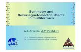 Symmetry and fl t l t i ff tflexomagnetoelectric effects ...old.apctp.org/conferences/2008/multiferroics/img/Pyatakov_exp.pdfSymmetry and fl t l t i ff tflexomagnetoelectric effects