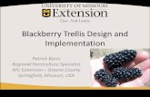 Blackberry Trellis Design and Implementationextension.missouri.edu/greene/documents/Horticulture/Blackberry/Blackberry Trellis...Blackberry Trellis Design and Implementation Patrick