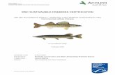 MSC SUSTAINABLE FISHERIES CERTIFICATION...Acoura Marine 3rd Surveillance Report Waterhen Lake walleye and Northern pike commercial gillnet fishery Acoura Version V2.2 04/01/17 MSC