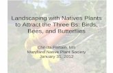 Landscaping with Natives Plants to Attract the Three Bs: Birds, Bees, and Butterflies · 2012-02-03 · Landscaping with Natives Plants to Attract the Three Bs: Birds, Bees, and Butterflies