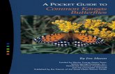 A POCKET UIDE TO Common Kansas Butterflies · other factors. Butterflies do most of their eating as caterpillars, which may be 3,000 times their birth weight before pupation! But