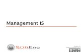 Management IS - polito.it · Management Accounting KPI & SCOR Strategy Management Matrix Customer ... Innovation and critical resources monitoring . Warning The more any quantitative