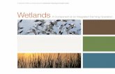 Wetlands A Component of an Integrated Farming Operation · / 4 / Wetlands A Component of an Integrated Farming Operation Studies cited by Ducks Unlimited demonstrated that a mallard