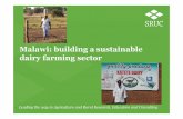 Malawi: building a sustainable dairy farming sectorvalue-chains.org/dyn/bds/docs/866/60974_Malawi_Sustainable_Dairy.pdf• Milk production. The 3 main milk producing associations in