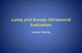 Lump and Bumps Ultrasound Evaluation · the vastus medialis muscle of 5cm maximum diameter. It demonstrates an irregular outline, a heterogenous echotexture and marked internal vascularisation.