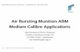 Air Bursting Munition ABM Medium Calibre Applications · ABM Family of Oerlikon Contraves F2 15227 BA 40D9911-6-PMC308-ABM-Patr30mm-Ret-vert 30mm x 173 selected for AAAV - FCT 42F9509-5-Ahead-Geschoss-Schnittmodell-Horiz