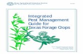 Integrated Pest Management Guide for Texas Forage Crops · management tactics which use biologi-cal control. Existing populations of natural ene-mies are conserved by avoiding the