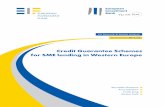 Credit Guarantee Schemes for SME lending in Western Europe · 2017-06-02 · Credit Guarantee Schemes for SME lending in Western Europe EIF Research & Market Analysis Moustafa Chatzouz