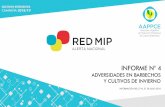 La Red de Manejo Integrado de Plagas (RED MIP) es un sistema … · 2018-08-02 · en red) Cebada Solo en lotes donde hay cebada en el rastrojo Dreschlera tritici repentis Trigo También