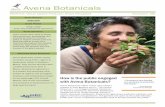 Avena Botanicals · 2019-10-01 · Avena Botanicals makes herbal remedies using fresh, organic & biodynamic herbs in Rockport, Maine. They are the ﬁ rst Demeter-certiﬁ ed biodynamic