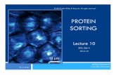 Lecture 10. Protein Sorting - MyConcordia Adventure · Overview of the Endomembrane System Synthesis and transport of secretory proteins • Secretory pattern of the protein can be