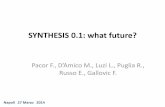 SYNTHESIS 0.1: what future? - Reluis · 2014-05-29 · GOALS • To archive and to distribute through the WEB synthetic waveforms • To promote the use of synthetic seismograms as