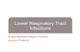 Lower Respiratory Tract Infections - WordPress.com · Lower respiratory tract infections is a term used to describe any infection below the vocal cords. ... ciliary disruption, peribronchial