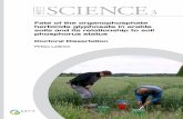 Fate of the organophosphate herbicide glyphosate in arable ...web2.uwindsor.ca/lemn/ResearchNeedsWorkshop44/Laitinen_Dissertation... · prosenttia siirryttäessä matalalta fosforita-solta