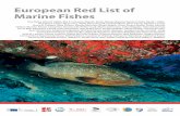 European Red List of Marine Fishes · 2016-05-19 · IUCN Global Species Programme IUCN European Regional Office European Red List of Marine Fishes Ana Nieto, Gina M. Ralph, Mia T.