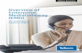 Overview of Enterprise MediaGateway (EMG)...The Enterprise Media Gateway (EMG) adopts VoIP technologies running in the optimised IP/ TDM hybrid switching platform. The ability to communicate