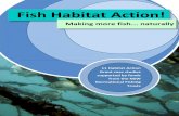 Fish Habitat Action! - Department of Primary Industries · contributing to this decline hasnbee a loss of fish habitat including instream woody structure, which Murray Cod and Golden