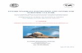ETTORE MAJORANA FOUNDATION AND CENTRE FOR … Summer School 2012 book 2.pdf · In this seminar, an introduction to vibration energy ... We report on recent advances in the theoretical