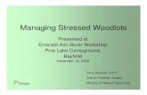 Managing Stressed Woodlots - hpcowa.huronstewardship.on.cahpcowa.huronstewardship.on.ca/wp-content/uploads/... · Managing Stressed Woodlots Presented at Emerald Ash Borer Workshop