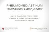 PNEUMOMEDIASTINUM “mediastinal emphysema”...PATHOPHYSIOLOGY Pneumothorax (51%) Macklin effect (39%) Hypopharyngeal or laryngeal injury Gastrointestinal tract injury Mediastinal