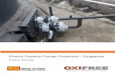 Phenol Pipeline Flange Protection - Singapore · 2019-01-20 · Phenol Pipeline Flange Protection - Singapore Singapore Onshore 11-12 October 2017 Dry 13 flanges Flanges 2 days Summary