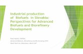 Industrial production of Biofuels in Slovakia ...files.abbe5.webnode.sk/200000045-a277fa3781/212 KOSTIK.pdf · Industrial production of Biofuels in Slovakia: Perspectives for Advanced