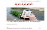Instructivo Instalación y Soporte Nivel I BASAPPcountries.basapp.com.ar/wp-content/uploads/2019/01/... · 2019-01-02 · Instructivo Instalación y Soporte Nivel I BasApp® Countries,