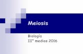 MEDIO/CS. NATURALES/meiosis.pdf · 2016-08-29 · Interfase o Intercinesis Periodo corto o ausente. SIMILAR a la interfase pero NO es 10 mismo. No ocurre síntesis de ADN, ni etapa
