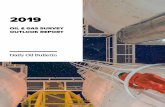 OIL & GAS SURVEY OUTLOOK REPORT - Amazon S32019+Oil+... · last year’s survey. 4 2019 Oil & Gas Survey Outlook Report. Pessimism about the future of the Canadian oil and gas industry
