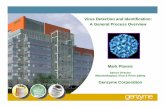 Virus Detection and Identification: A General Process Overview · 2018-04-02 · Phase 1: Virus detection The presence of a virus in the in vitro assay can be detected by visible