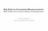 Big Data in Economic Measurement - World Bankpubdocs.worldbank.org/pubdocs/publicdoc/2016/6/... · Big Data in Economic Measurement: What a Billion Prices say about Inflation and