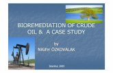 BIOREMEDIATION OF CRUDE OIL & A CASE STUDY Gator/Turkey... · BIOREMEDIATION OF CRUDE OIL & A CASE STUDY byby NilNilüüferfer ÖÖZKOVALAKZKOVALAK ... soil washing with biosurfactantssoil