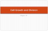 Cell Growth and Division - 4.files.edl.io · Regulating the Cell Cycle Different types of cells go through the cell cycle at different rates. Experiments show that normal cells will