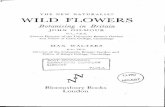 THE NEW WILD FLOWERSllrc.mcast.edu.mt/digitalversion/table_of_contents_20334.pdf · THE NEW NATURALIST WILD FLOWERS Botanising in Britain JOHN GILhlOUR M.A., V.M.H. Former Director