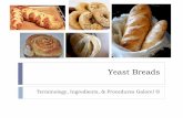 Yeast Breads - Sol de TerraceTerminology Kneading: Process in which dough develops gluten to give the dough shape and structure. Gluten Protein that forms when flour and liquid are
